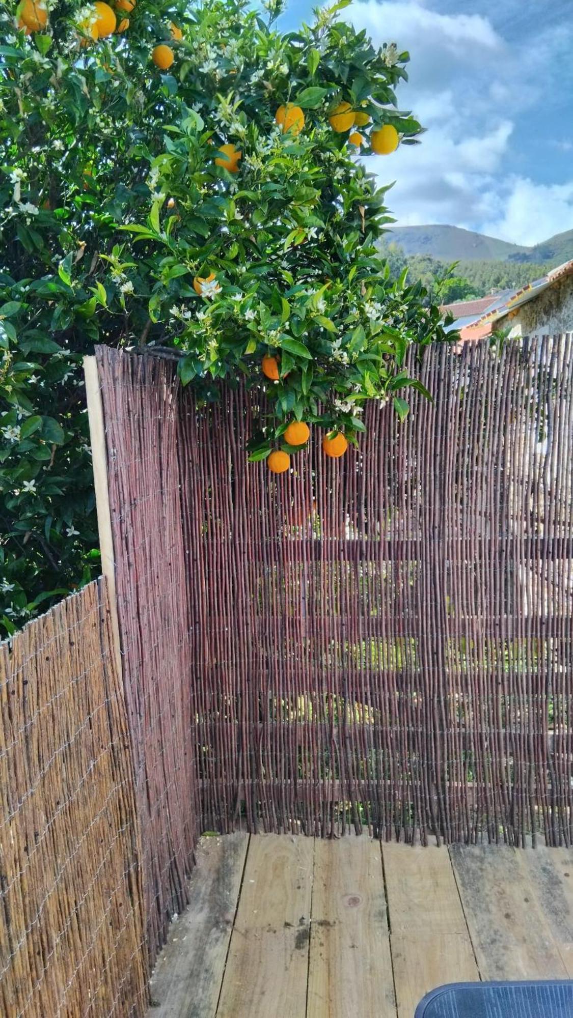 Casa Das Rocas Castanheira de Pera Kültér fotó