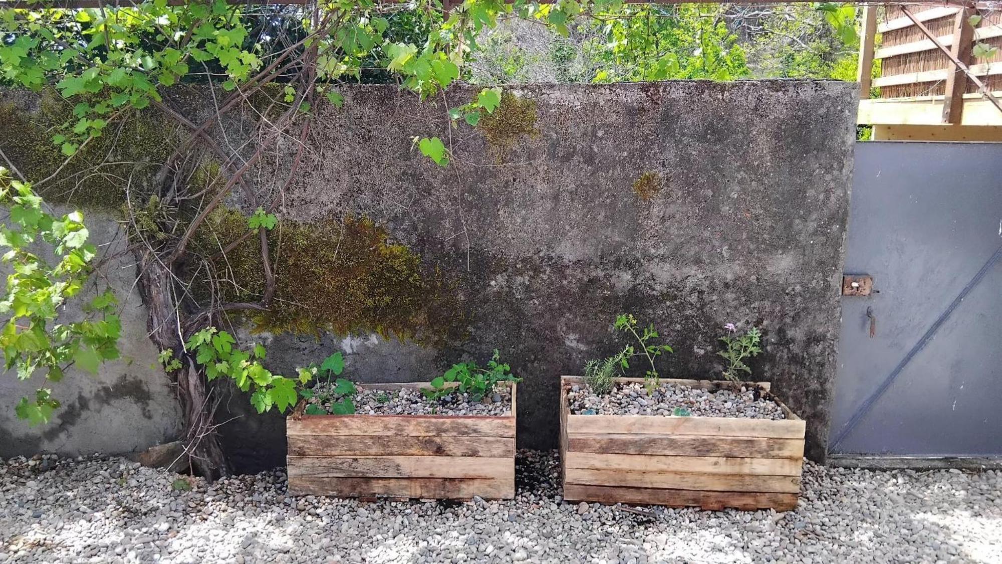 Casa Das Rocas Castanheira de Pera Kültér fotó